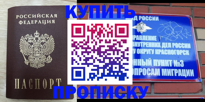 прописка гарантия в Амурске